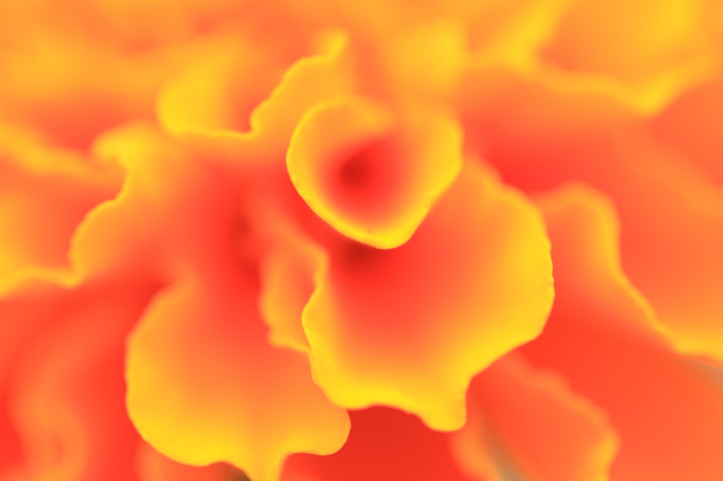 b0146723_12332116.jpg