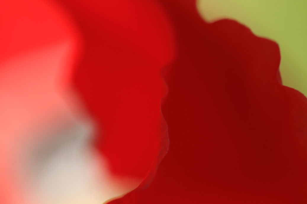 b0146723_1233510.jpg