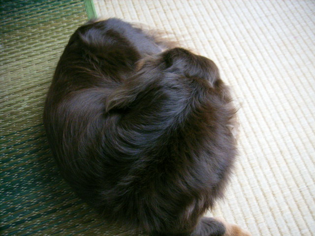 e0177824_22334462.jpg
