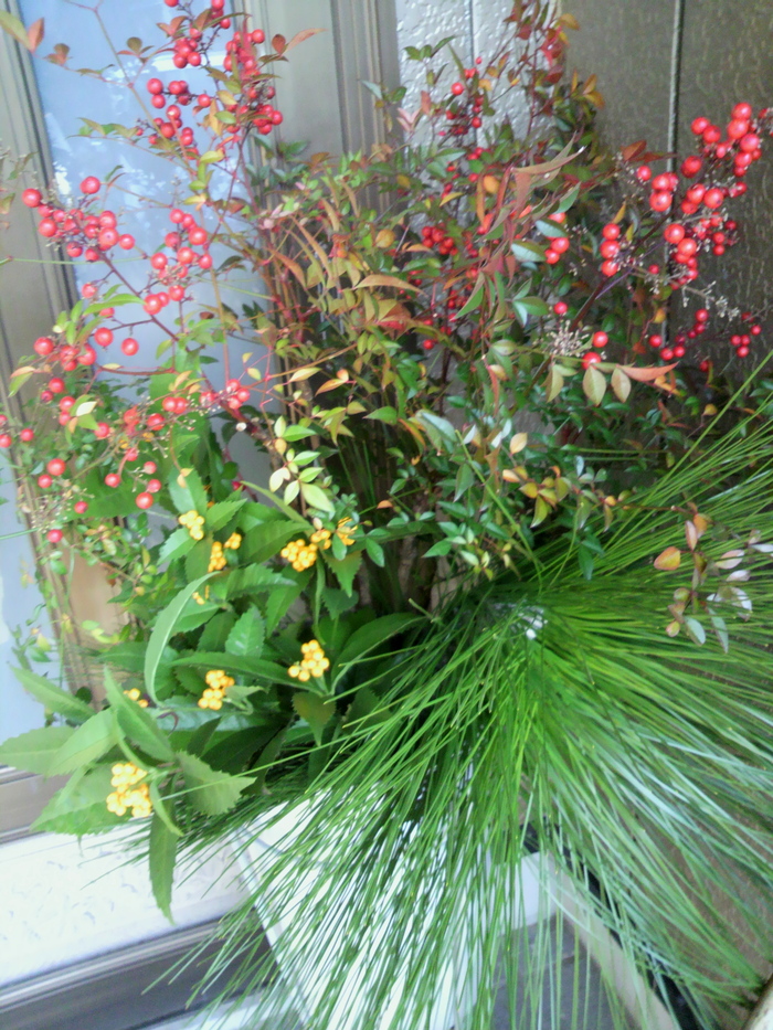 c0034029_1111489.jpg