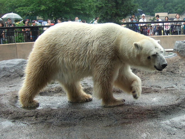 e0064133_9402924.jpg