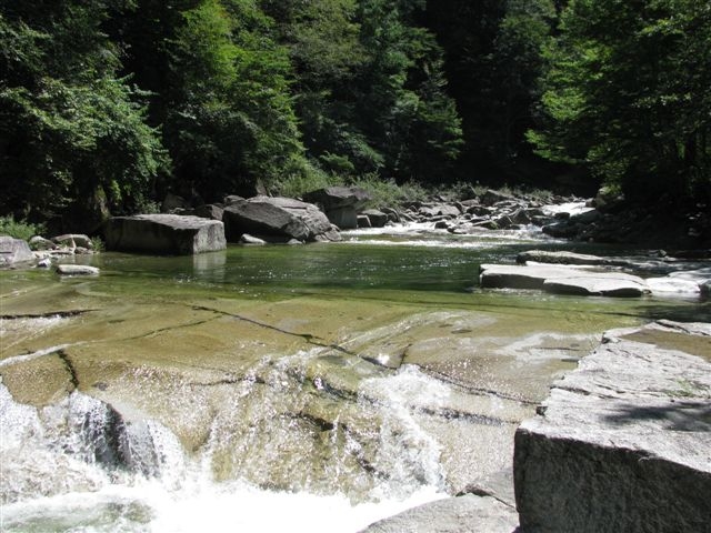 f0151044_1123753.jpg