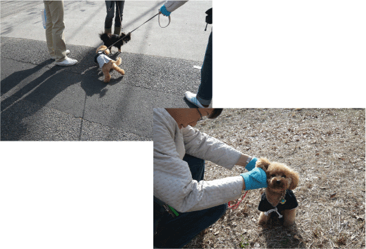b0182846_23475552.gif