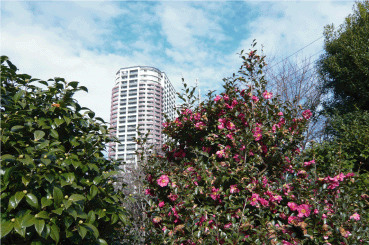 b0182846_23484415.gif