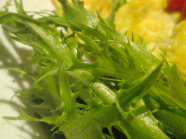 c0189747_142391.jpg