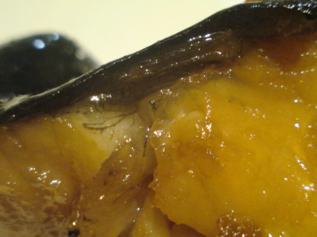c0189747_1423940.jpg
