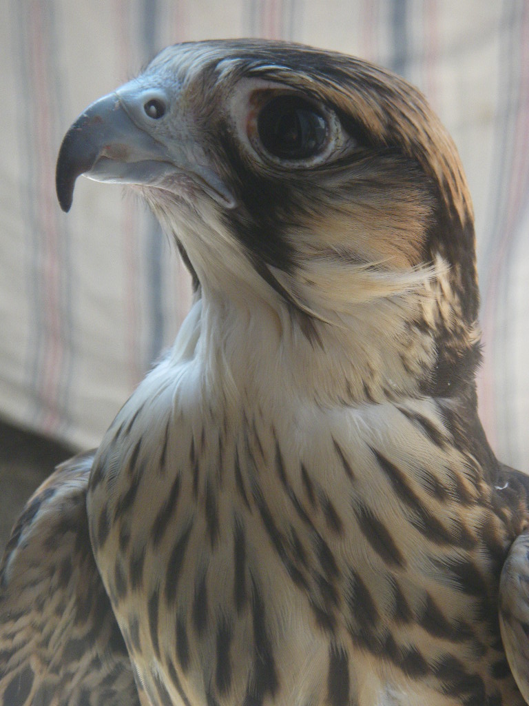 c0132048_033157.jpg