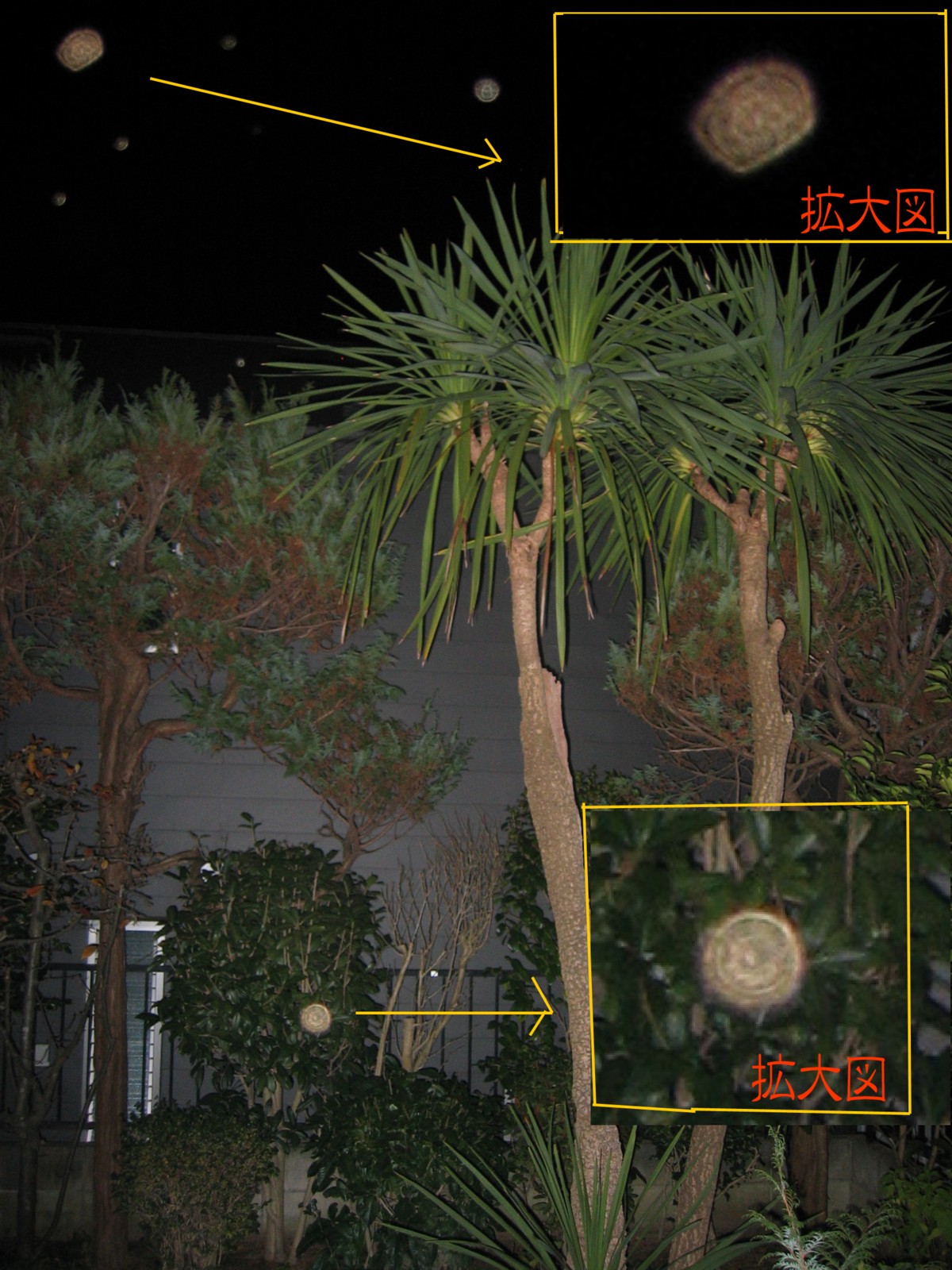 d0075649_923986.jpg
