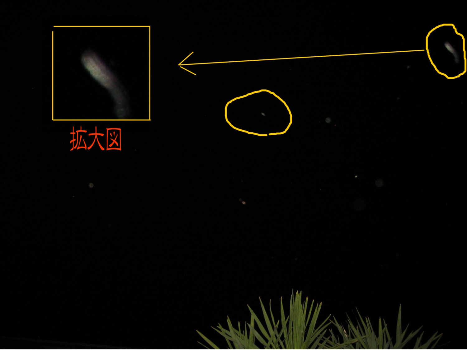 d0075649_9265558.jpg