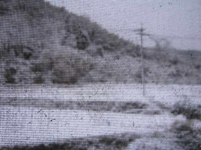 c0222651_7351829.jpg