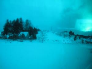a0139353_1626541.jpg
