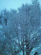 f0211463_16503571.jpg