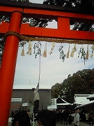 f0211463_1841669.jpg