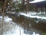 f0211463_185918.jpg