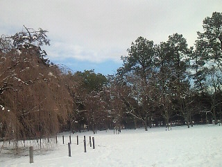 f0211463_1894031.jpg