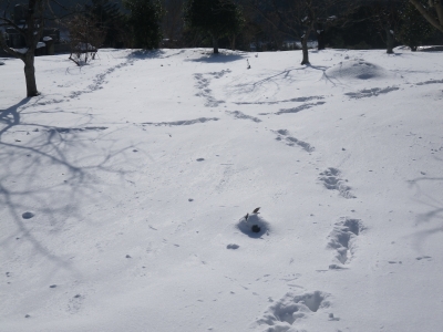 f0055264_19313317.jpg
