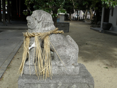 d0067165_1729139.jpg