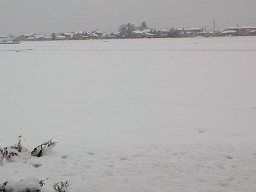 a0135367_23303656.jpg