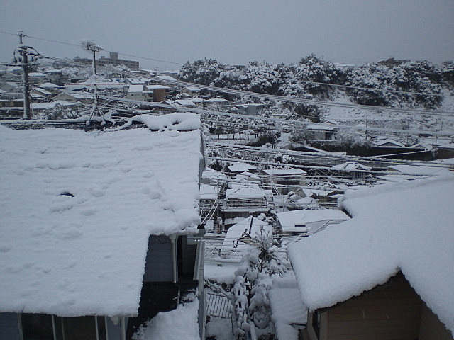 b0149867_9505098.jpg