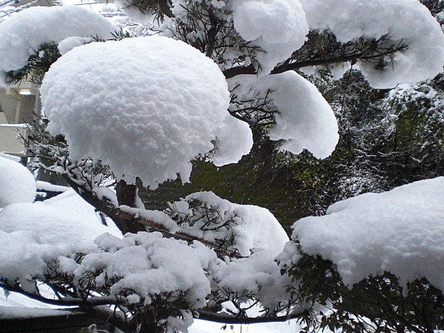 b0149867_9513229.jpg