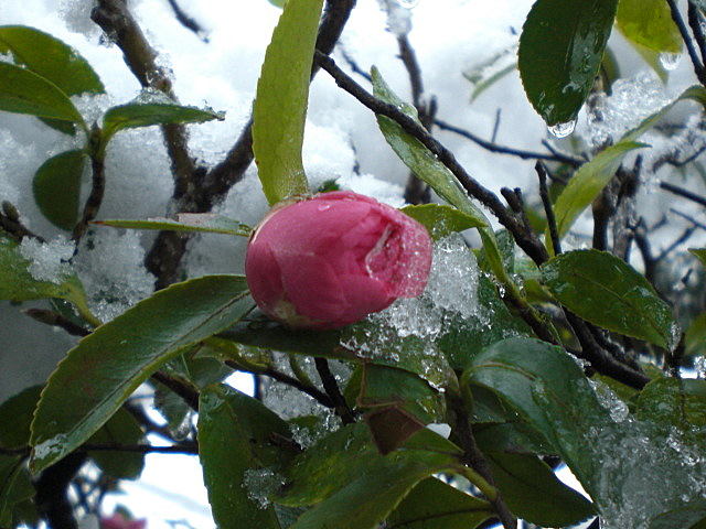 b0149867_953323.jpg