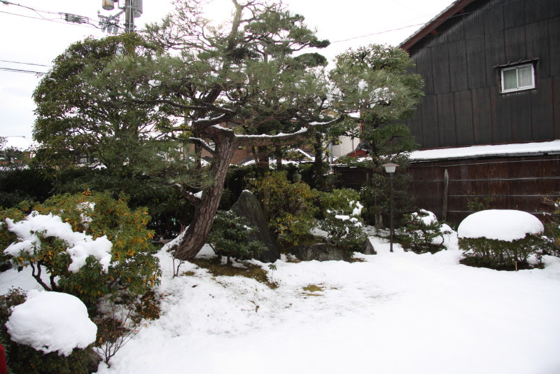b0078370_22292114.jpg
