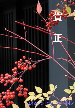 b0185771_21502132.jpg