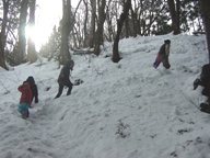 c0057781_13392745.jpg