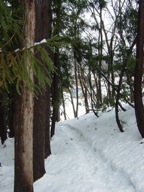 c0057781_13444095.jpg