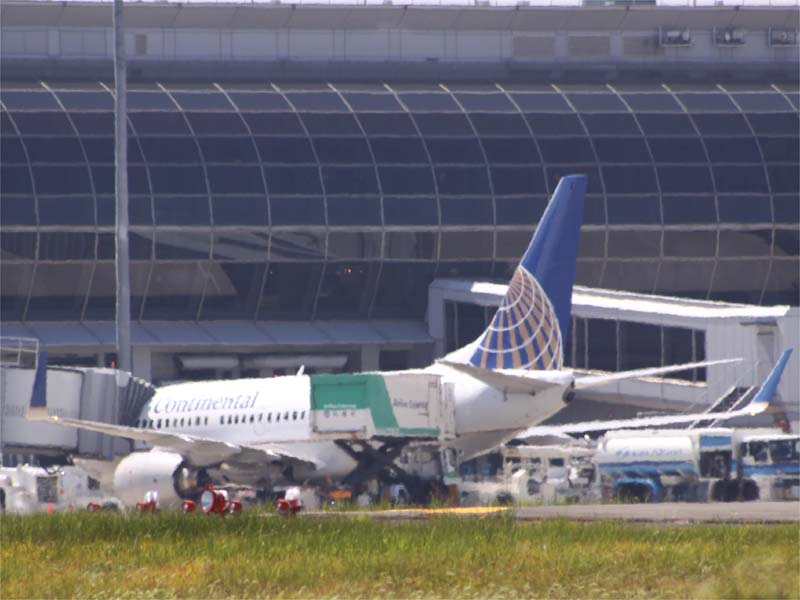 c0148781_1136095.jpg