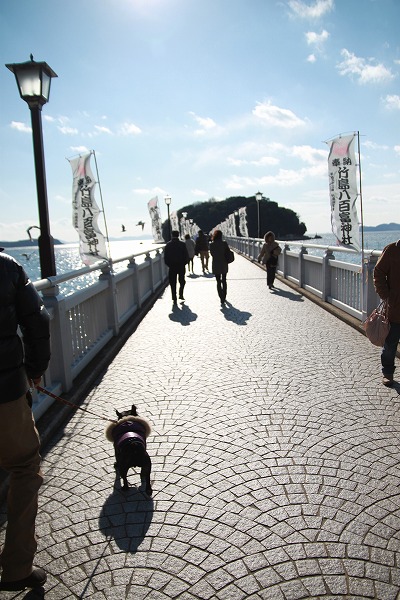 f0238184_2218970.jpg