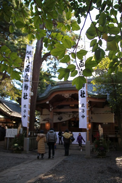 f0238184_2304179.jpg