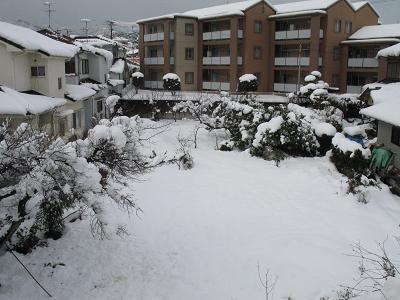 e0130185_2219550.jpg