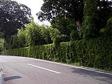 c0186689_2048472.jpg