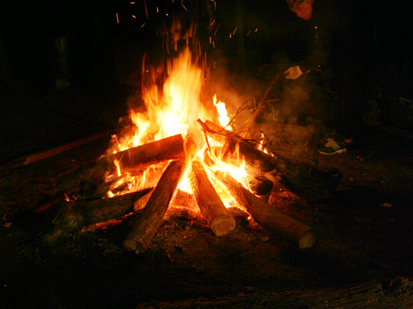 d0100095_1103972.jpg