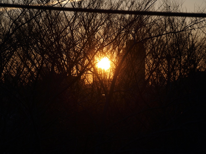 f0108399_9391625.jpg