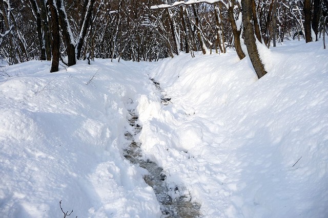 e0137200_14481070.jpg