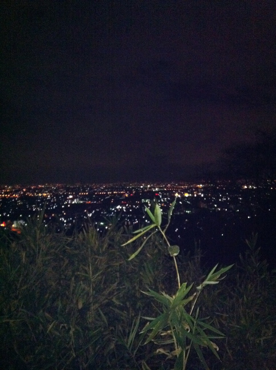 e0201401_11425217.jpg