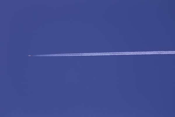 e0117503_1511027.jpg