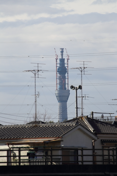 e0117503_15134731.jpg