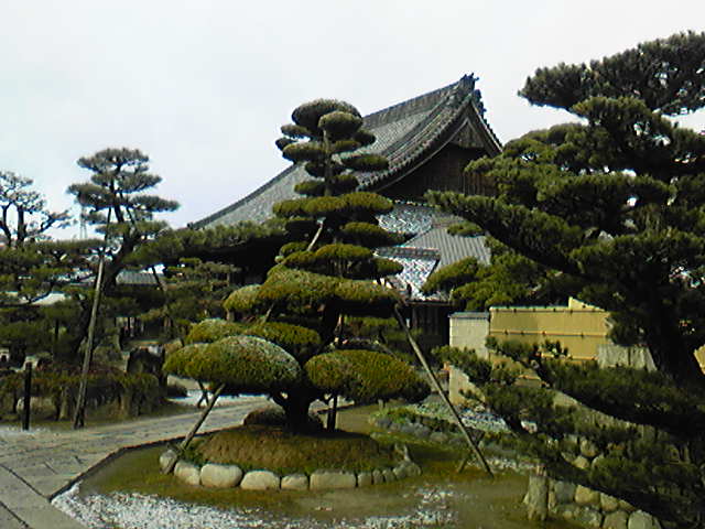 c0152507_559335.jpg