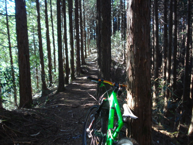 e0015108_1585543.jpg