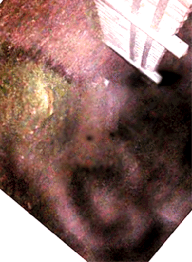 e0103408_17341148.gif