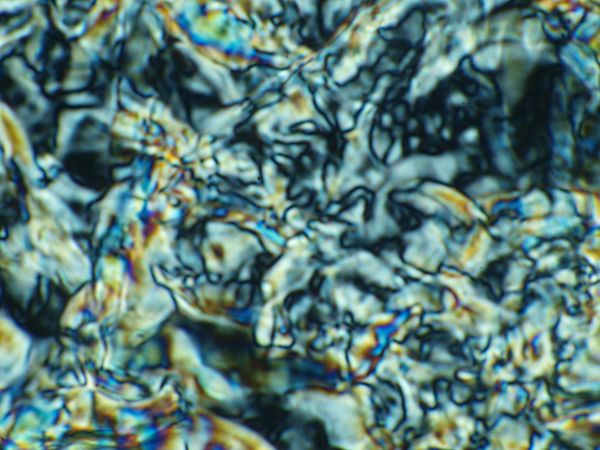 c0164709_91655.jpg