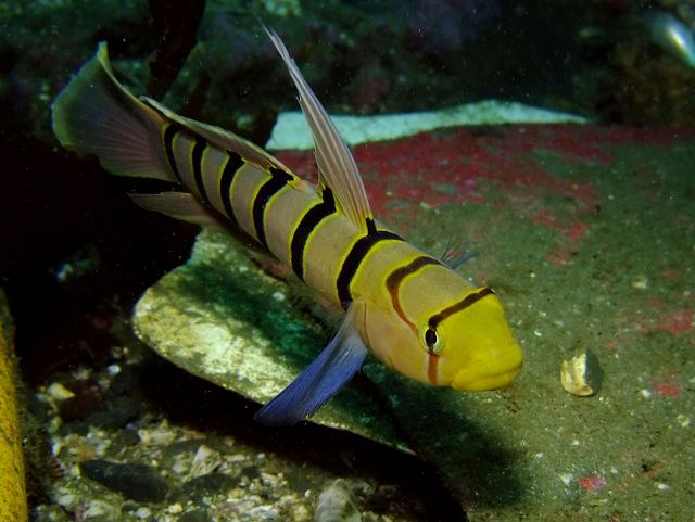 d0175710_22573385.jpg