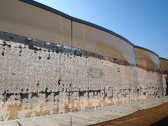a0157619_0202666.jpg