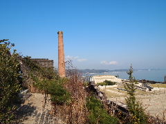 a0157619_0264222.jpg