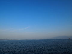 a0157619_0355831.jpg