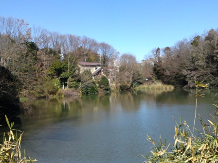 d0201526_12481867.jpg