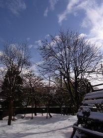 a0070831_9424223.jpg